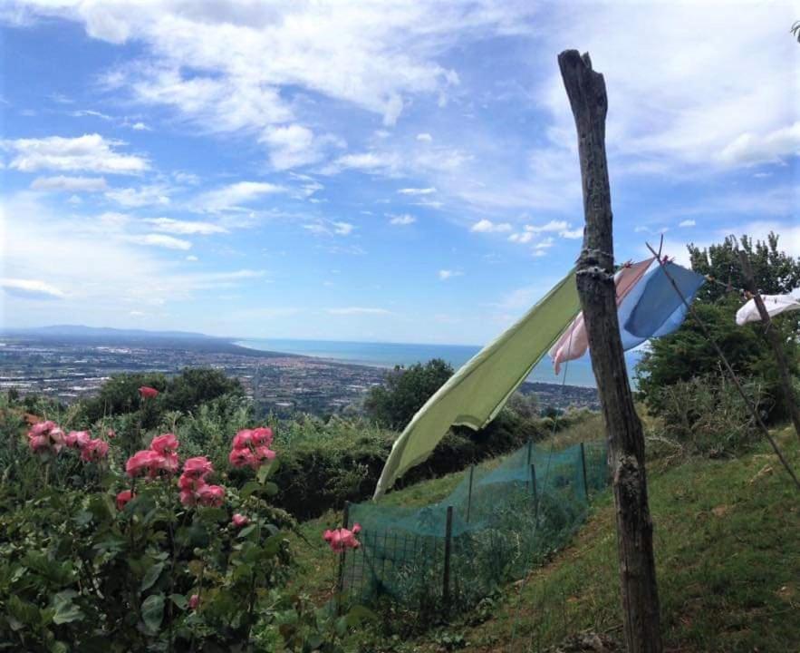 Bed & Breakfast Villa Masini-Luccetti Pietrasanta Eksteriør billede
